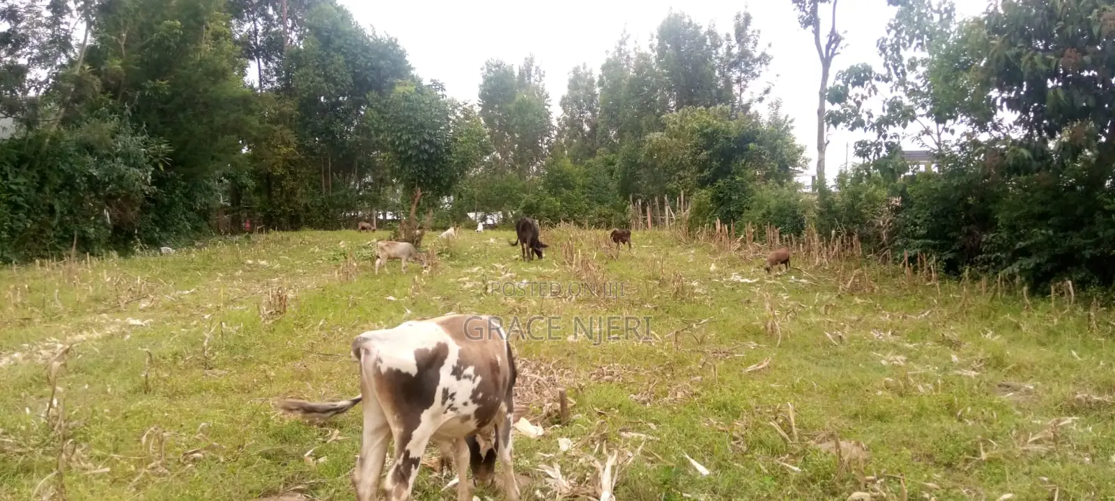 Plot for Sale in Handindi Along Kakamega-Kaburengu Highway