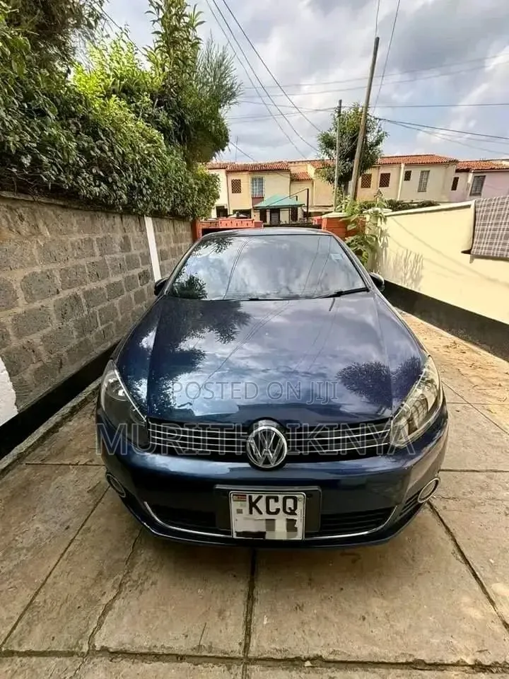 Volkswagen Golf 2011 Blue