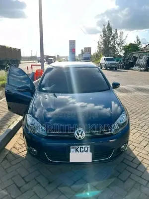 Volkswagen Golf 2011 Blue