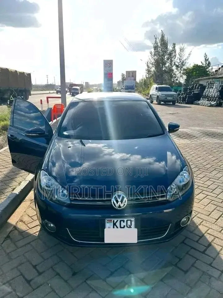 Volkswagen Golf 2011 Blue