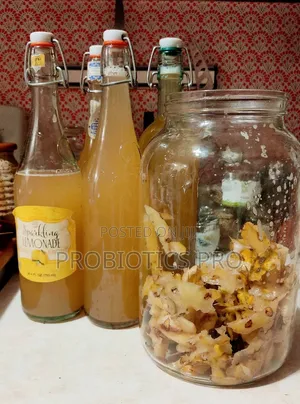 Tepache Probiotic Drink