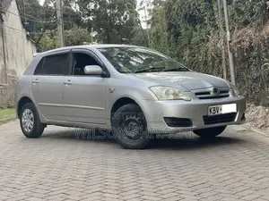 Toyota Corolla RunX 2006 Silver