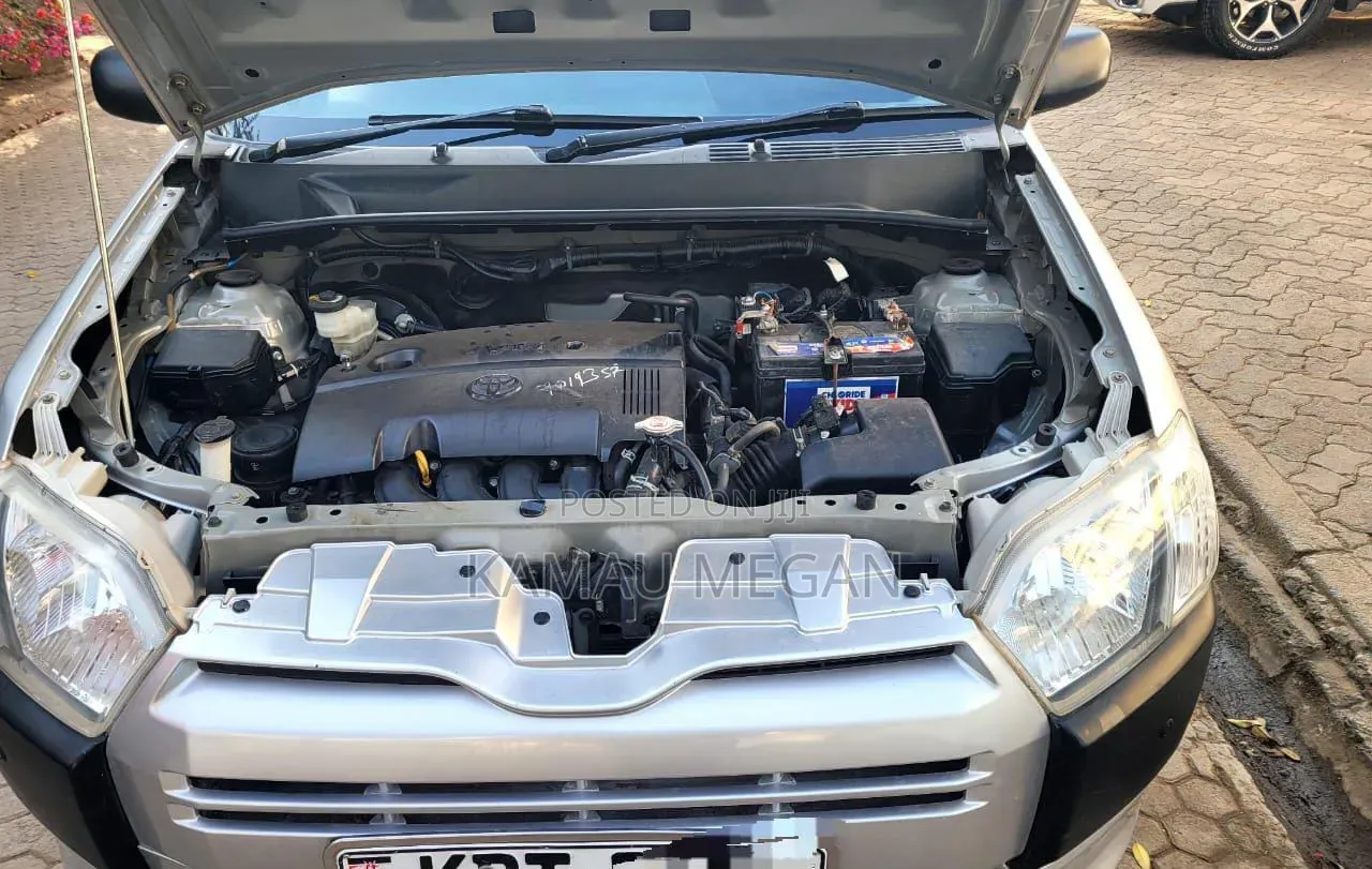 Toyota Succeed 2019 Gray