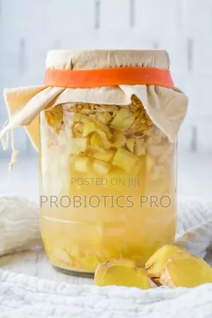 Gingerbug, Probiotic Drink