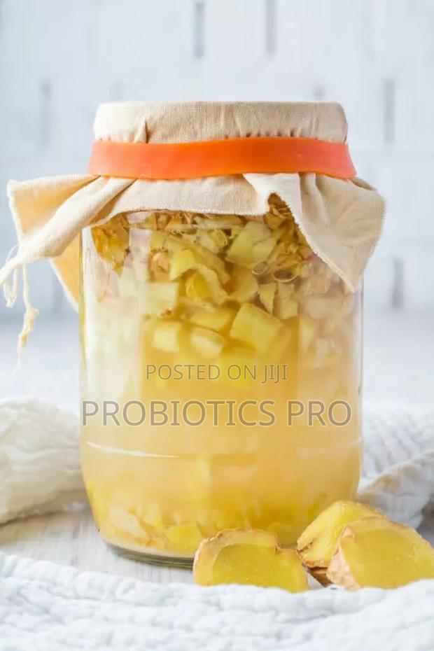 Gingerbug, Probiotic Drink