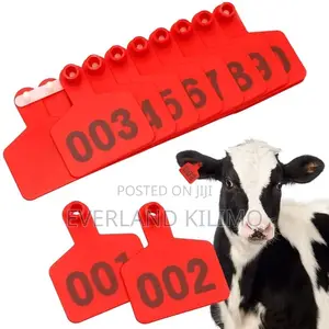 Laser Engraved Medium Cattle Ear Tags Numbered