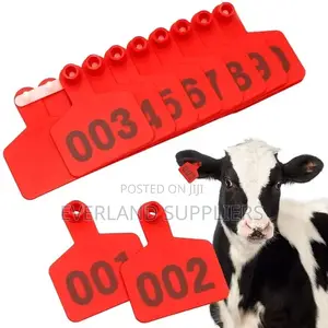 Laser Engraved Medium Cattle Ear Tags Numbered