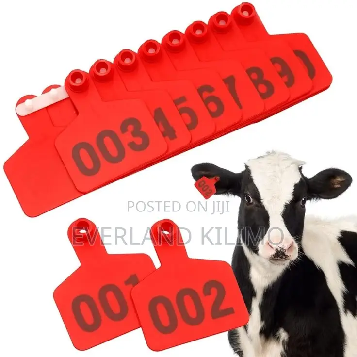 Laser Engraved Medium Cattle Ear Tags Numbered