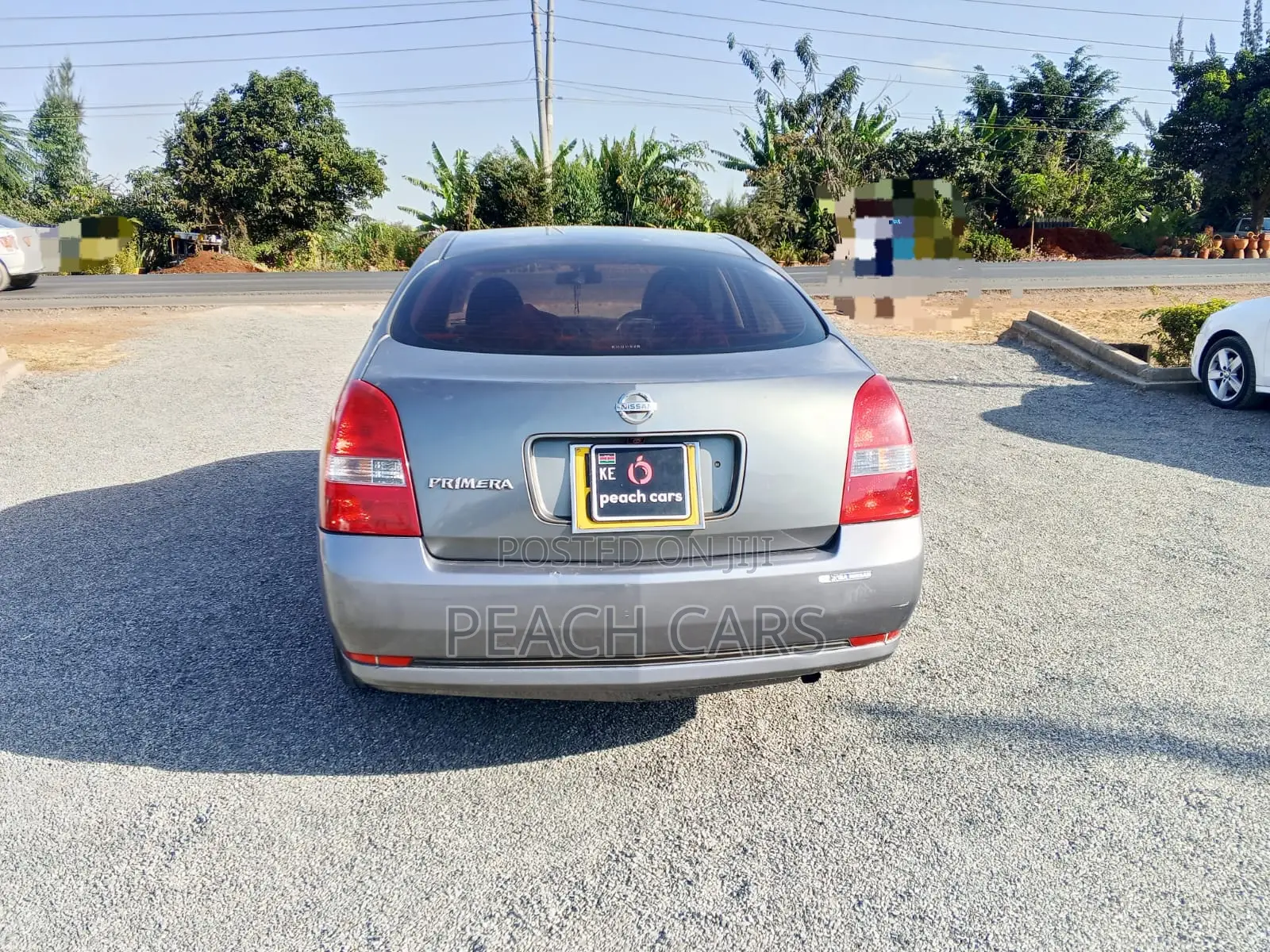 Nissan Primera 2005 Gray