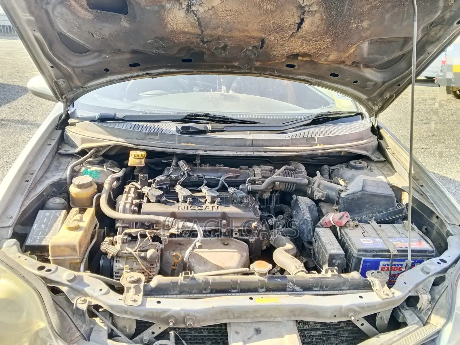 Nissan Primera 2005 Gray