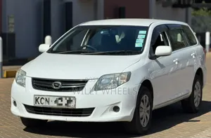 Toyota Corolla Fielder 2010 White