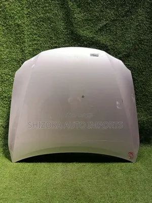 Bonnet Lexus Is Gse20 2005