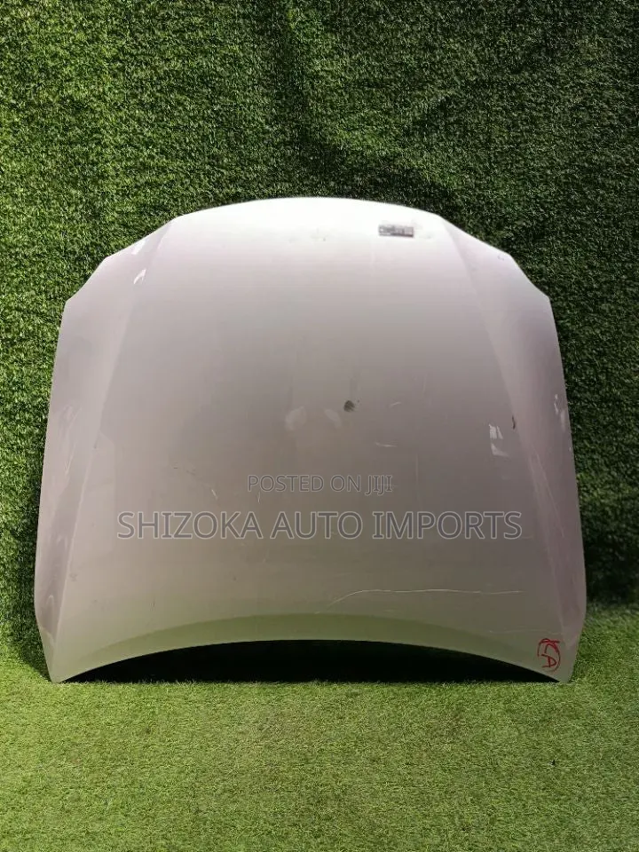 Bonnet Lexus Is Gse20 2005