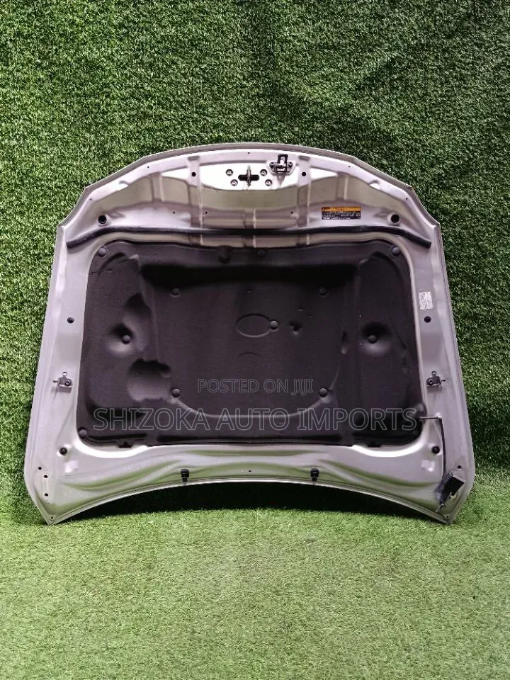 Bonnet Lexus Is Gse20 2005