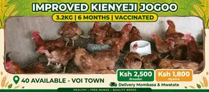 Improved Kienyeji