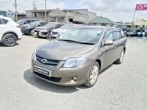 Toyota Corolla Fielder 2010 Brown