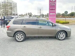Toyota Corolla Fielder 2010 Brown