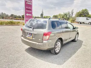 Toyota Corolla Fielder 2010 Brown