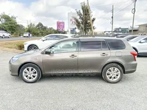 Toyota Corolla Fielder 2010 Brown