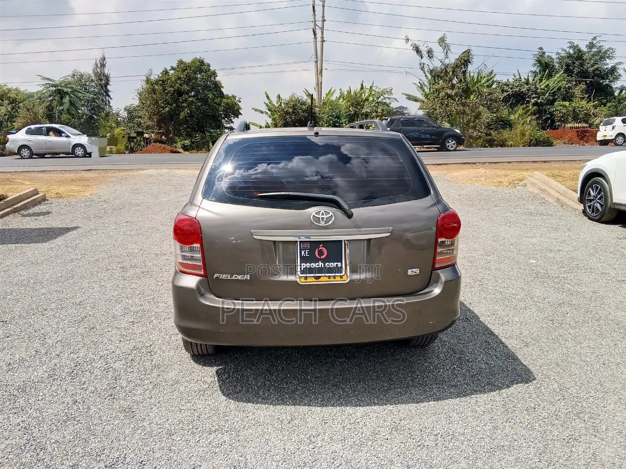 Toyota Corolla Fielder 2010 Brown