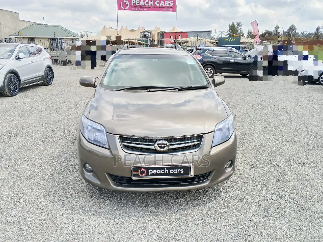 Toyota Corolla Fielder 2010 Brown