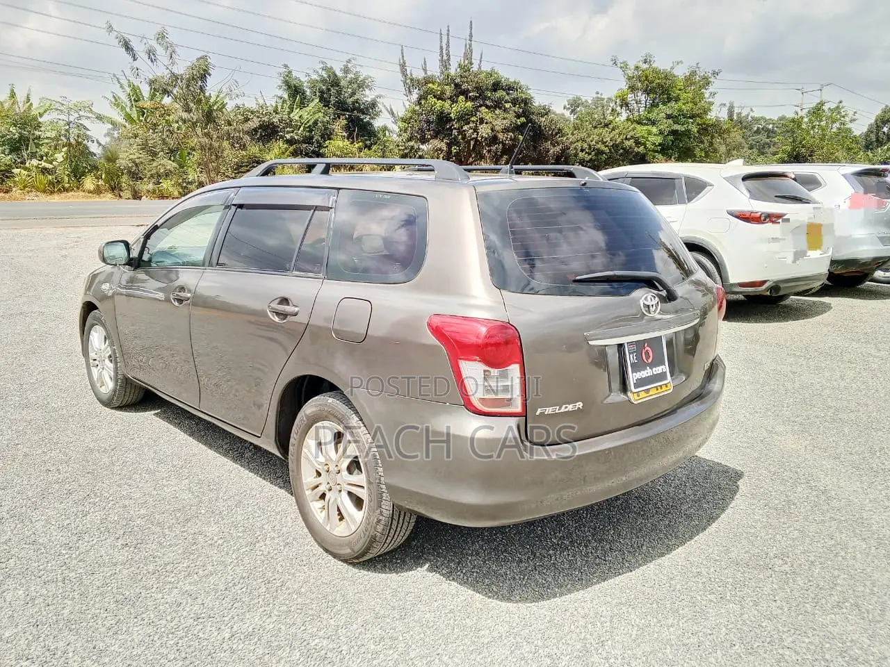 Toyota Corolla Fielder 2010 Brown