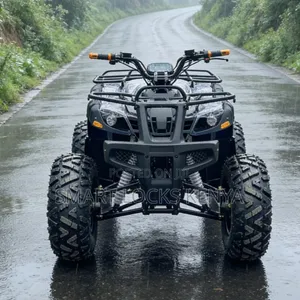 ATV 200CC Four -Wheel Beach QuadBike