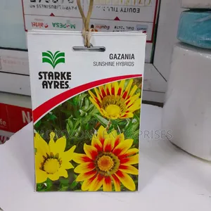 Gazania Sunshine Hybrid Seed Flower 0.3