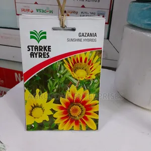 Gazania Sunshine Hybrid Seed Flower 0.3
