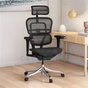 Black Full Mesh Orthopedic Home Chair.