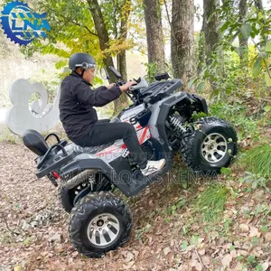 Chain Drive 200cc Quadbike ATV