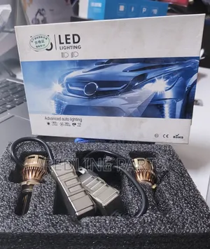 U6 LED High Performance Bulb