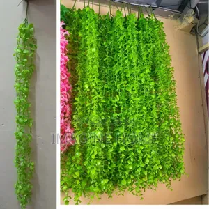 Green Hanging Vines