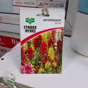 Anthirrhinum Tip Top Flower Seed