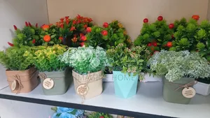 Beautiful Flowers