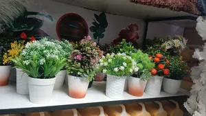 Beautiful Flowers