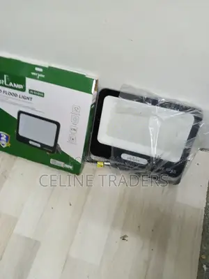 EK 200W High Brightness Security Light