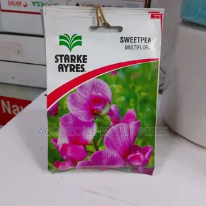 Sweetpea Multiflora Flowers Seed