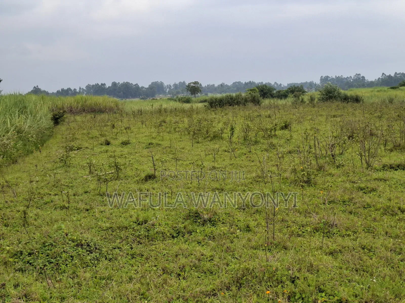4 Acres KHALUMULI