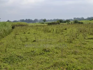 4 Acres KHALUMULI