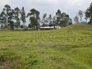 4 Acres KHALUMULI