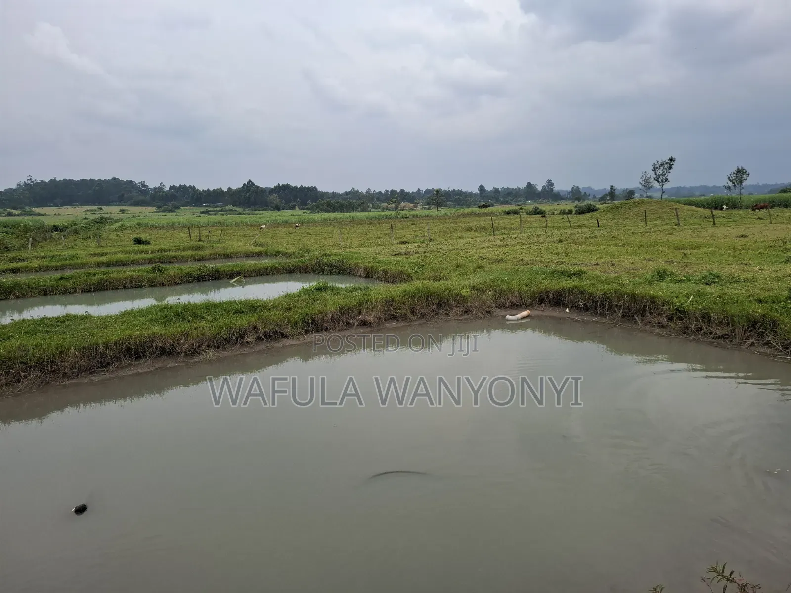 4 Acres KHALUMULI
