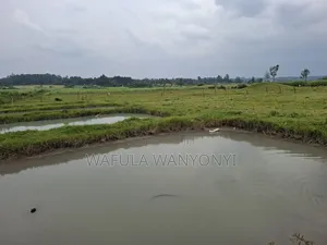 4 Acres KHALUMULI