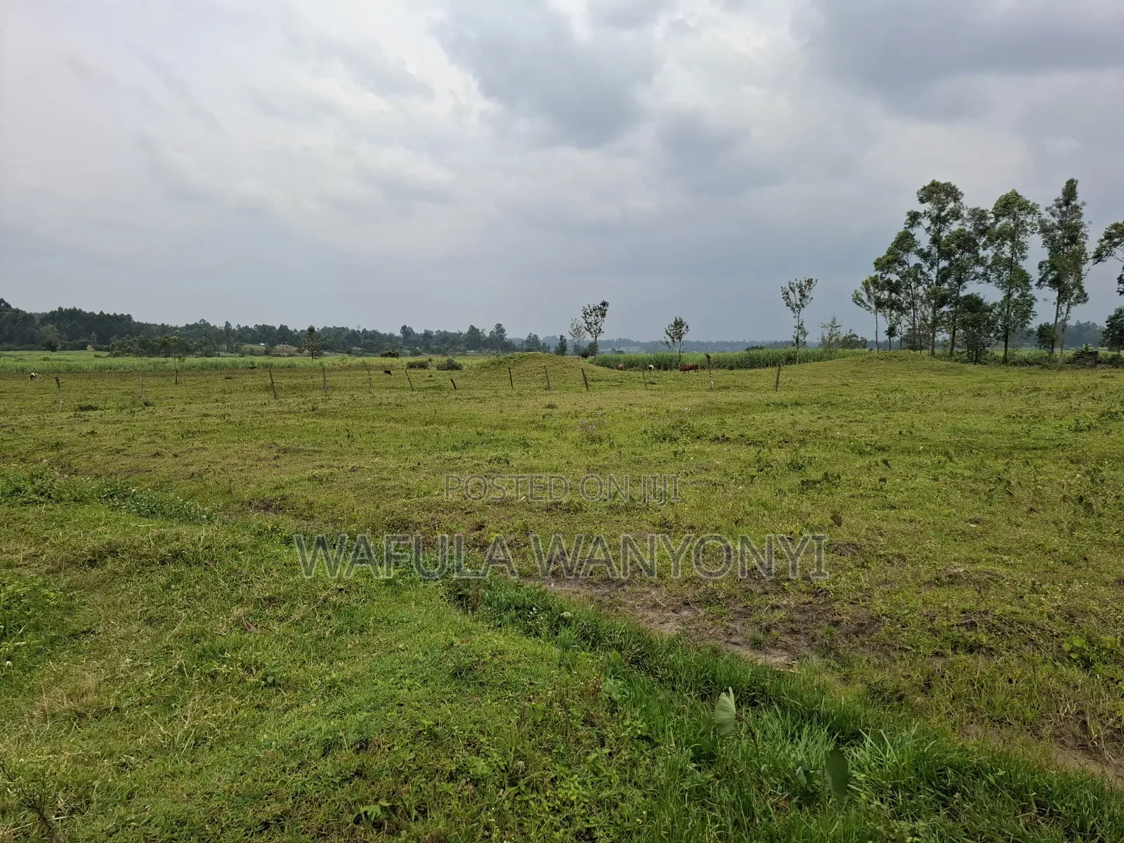 4 Acres KHALUMULI