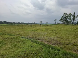 4 Acres KHALUMULI