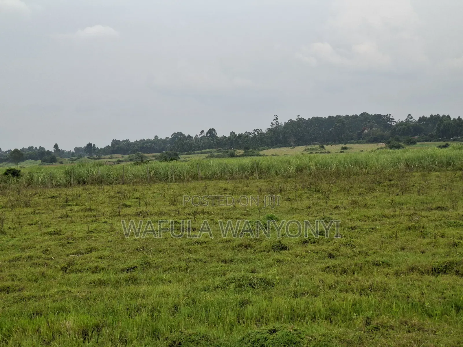 4 Acres KHALUMULI
