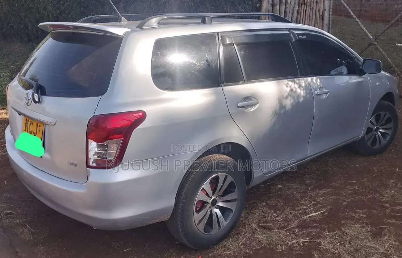 Toyota Corolla Fielder 2009 Silver
