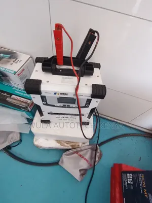 Standard and Strong Charging Nodes Car Battery Charger Sunshine Italy