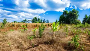 Prime Residential Plot for Sale in Kikuyu, Ng'amba