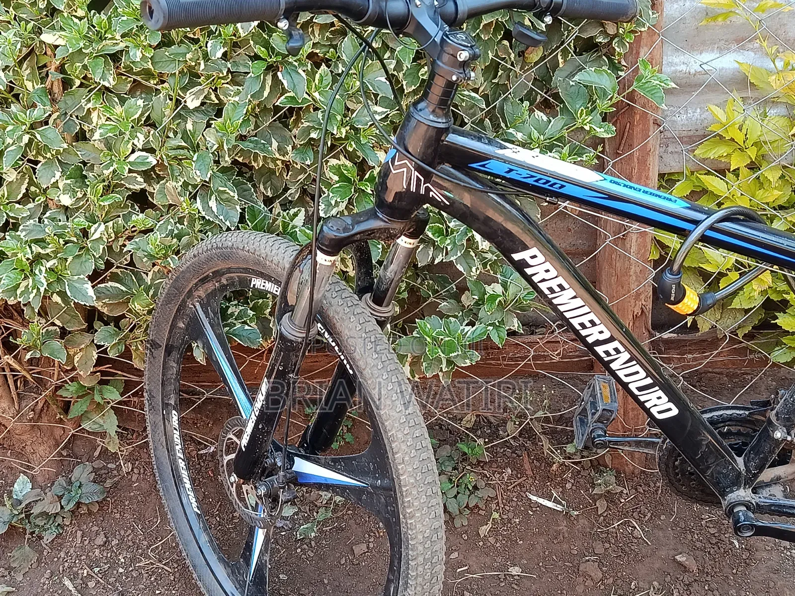 Mountain Bike